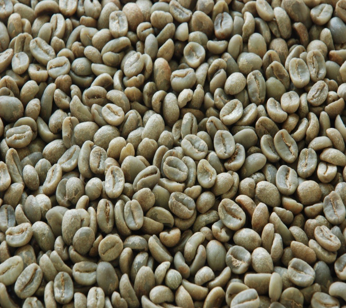 Café oro verde Preparación Europea